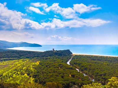 Panoramic view of Maremma Regional Park also known as Uccellina Park. Tower, forest and sea coast. Tuscany, Italy Europe.